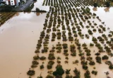 Peringatan Banjir dan Hujan Lebat di Yunani dan Turki